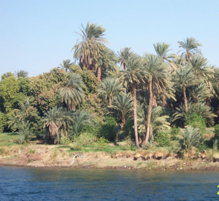 Nile3.jpg