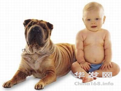 dog-vs-baby6.jpg