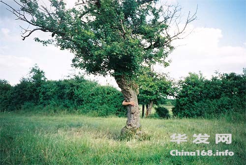 tree-limb.jpg
