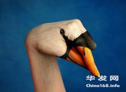 large_Swan_Hand_Body_Art_Funny_Picture_3007.jpg