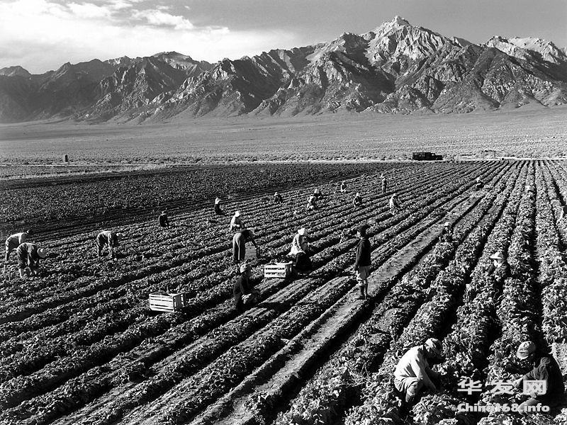 800px-Ansel_Adams_-_Farm_workers_and_Mt._Williamson.jpg