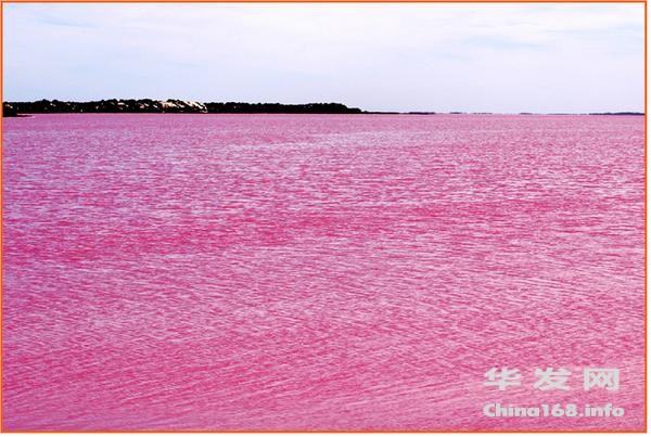 118W__Australia_Pink_lake.jpg