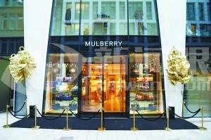 MulberryܷϮ ǰרҵ