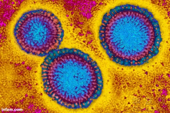 流感是如何置人於死地的？